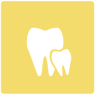 小児歯科